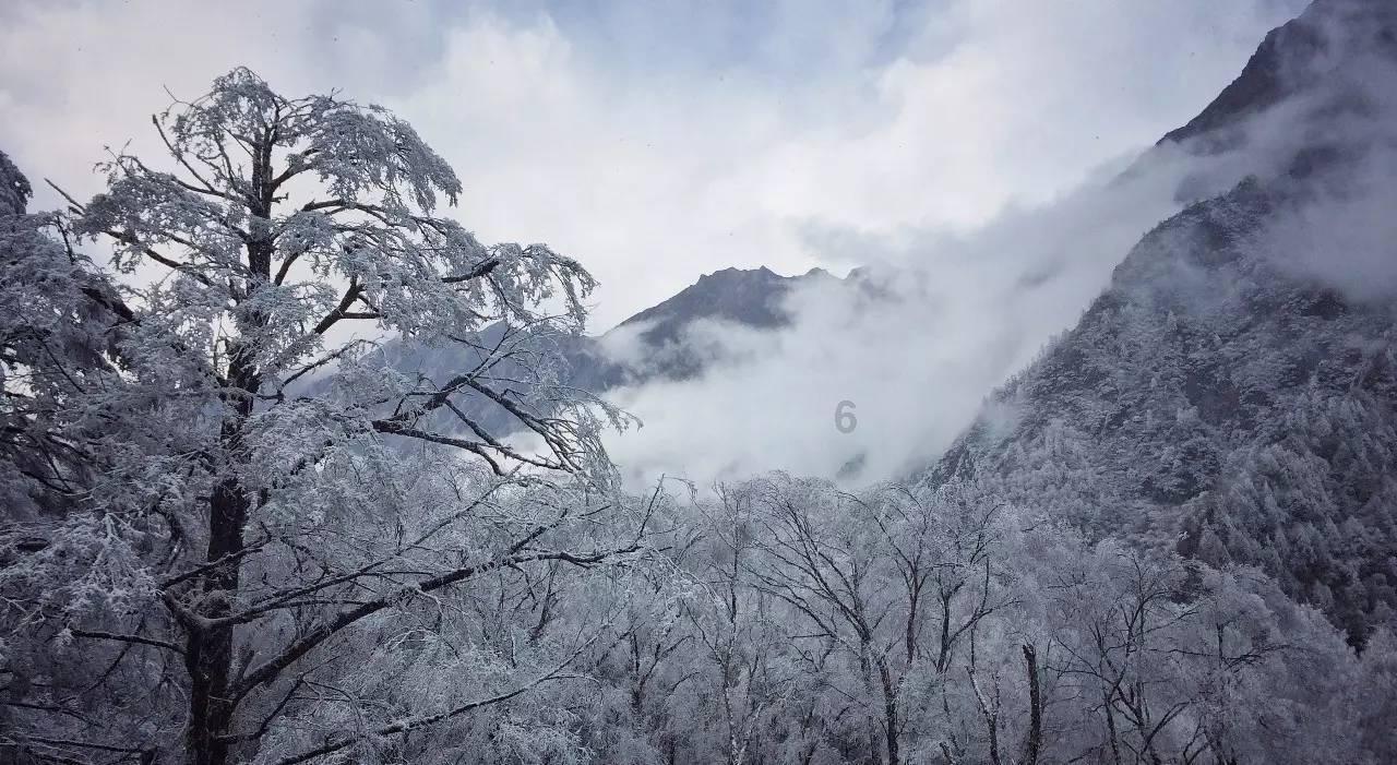 冲浪骑士