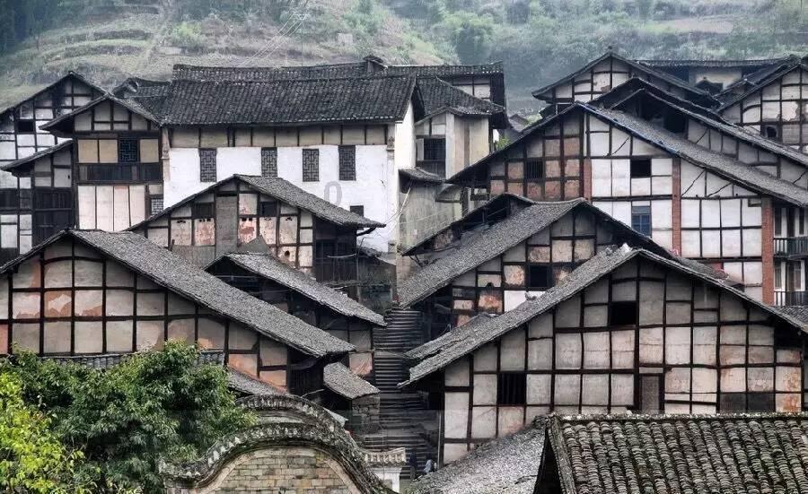 虫虫助手下载